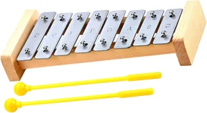 1 Set Musical Xylophone Note Instrument for Learning Fun Interactive Educational Musical Portable Design for Indoor Present for Boy Girl