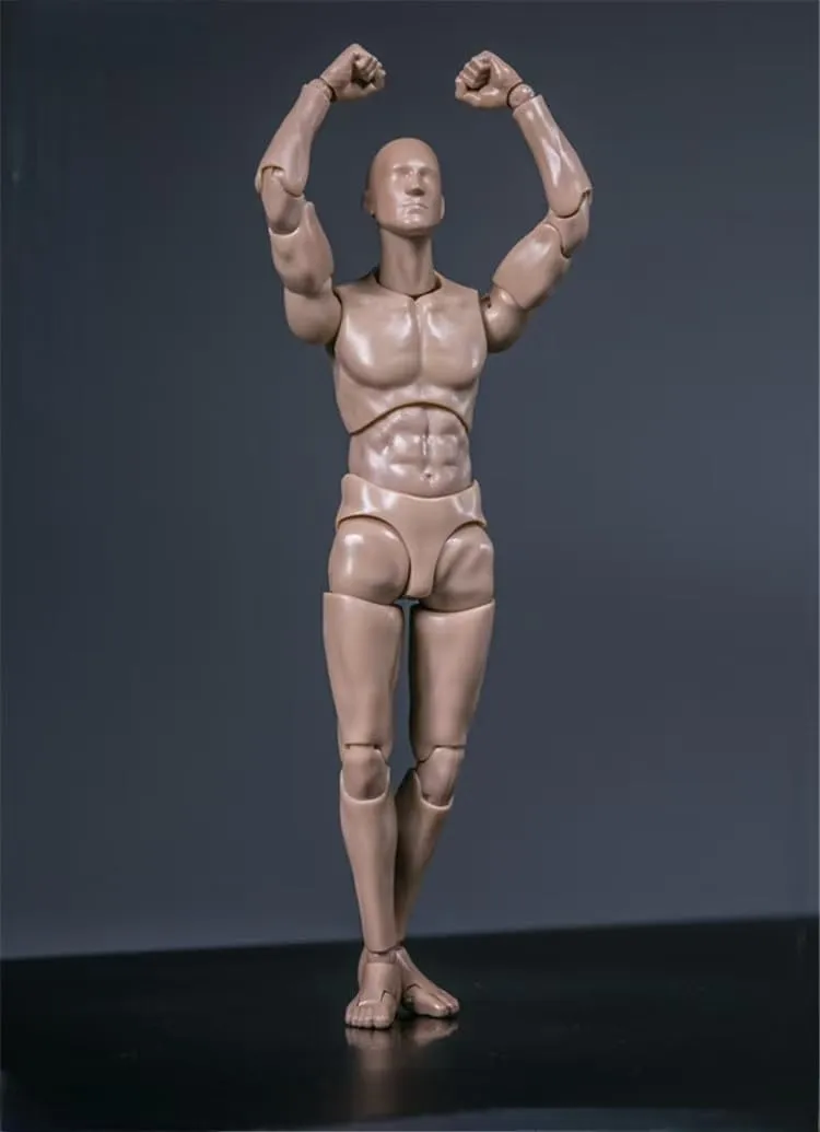 1/12 Scale Male Action Figure, 6 inches Flexible Testman Aciton Figure Body, 1/12 Ball-Jointed Testman Crash Test Dummy Figure (Skin)