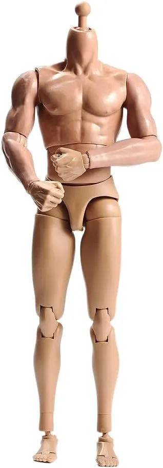 1/6 Scale Male Body, Male 12inch Flexible Muscular Action Figure Body Asia Skin Long Neck Miniature Doll Collectible (C)