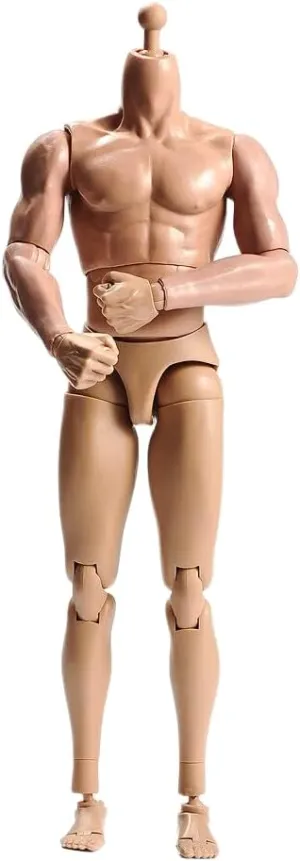 1/6 Scale Male Body, Male 12inch Flexible Muscular Action Figure Body Asia Skin Long Neck Miniature Doll Collectible (C)
