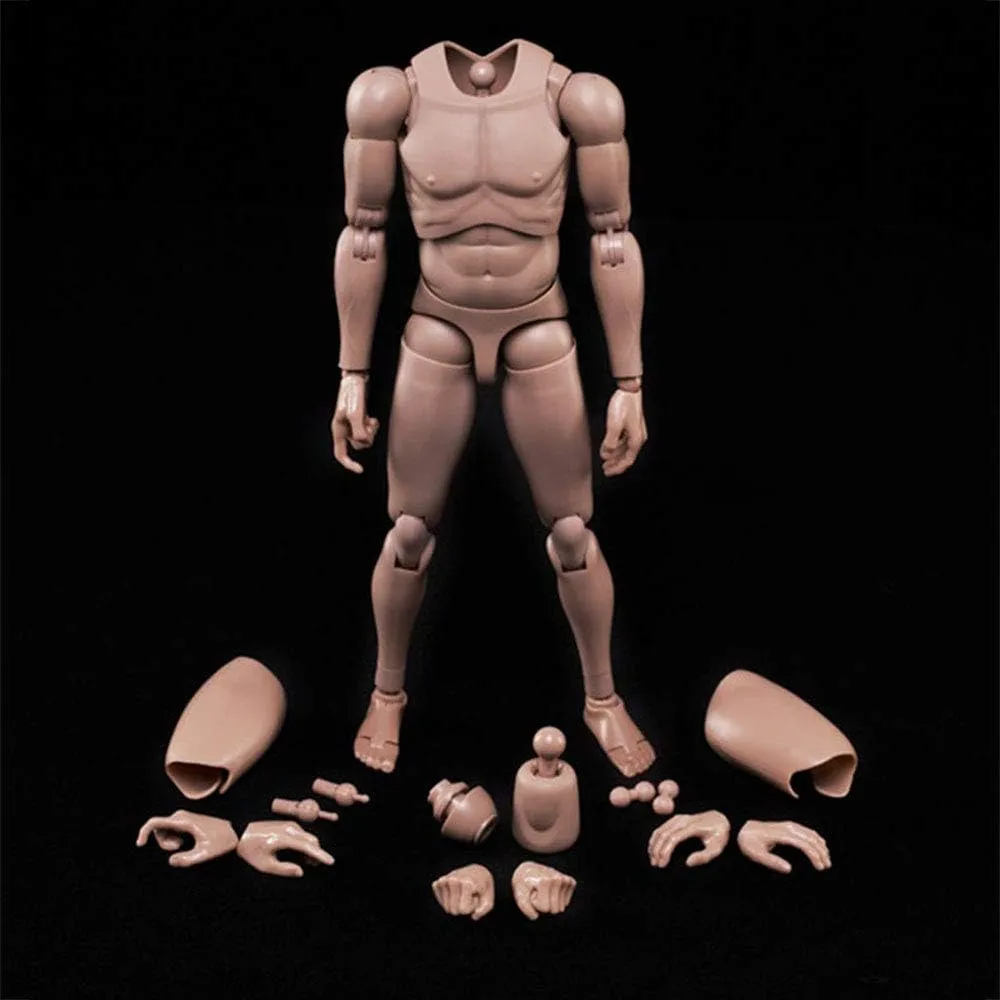 1:6 Scale Muscle Male Action Figure Europe Skin 12 Inch Flexible Male Figure Body Doll Miniature Figure Without Head Sculpt