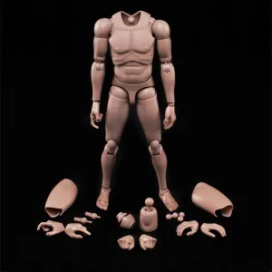 1:6 Scale Muscle Male Action Figure Europe Skin 12 Inch Flexible Male Figure Body Doll Miniature Figure Without Head Sculpt