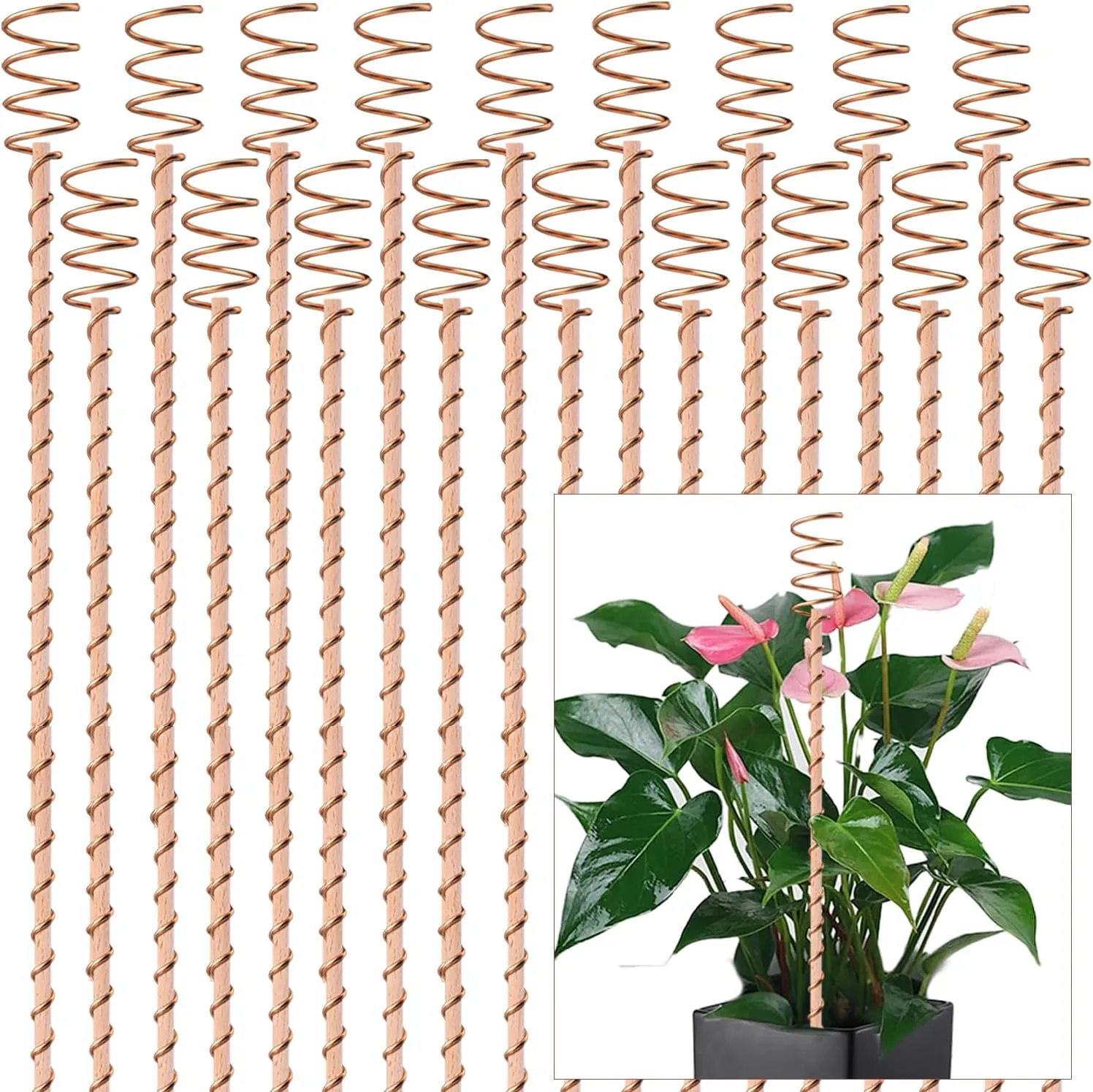 18Pack Electroculture Plant Stakes, 12" Electroculture Copper Gardening Antenna, Copper Coil Plant Stakes for Garden,Garden Stakes for Plants Fruits Vegetables Growth,Eco-Friendly,High-Yield