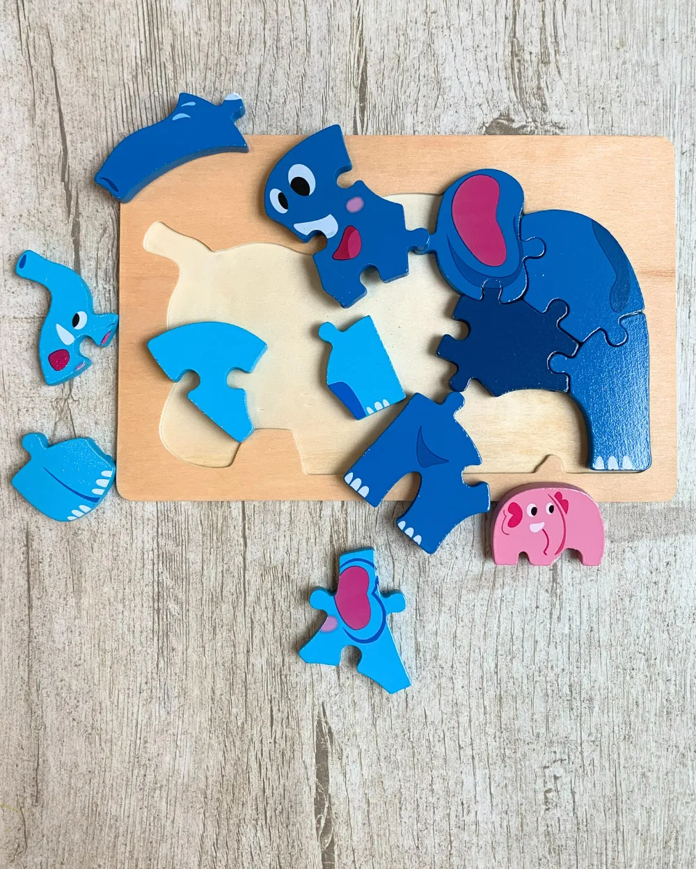 3D Block Animal Puzzles & 5 Shapes Geometric Sorter