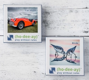 (ho-dee-ay) Set of Two: Birds and Car Show: Dementia-Friendly Activity