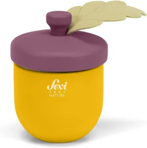 Acorn Music Box | Musical Toys, Wooden Music Box, Games 2  | 9.5 x 8.5 x 10 cm Size cm | Sevi Nature Botanical | Model 83136