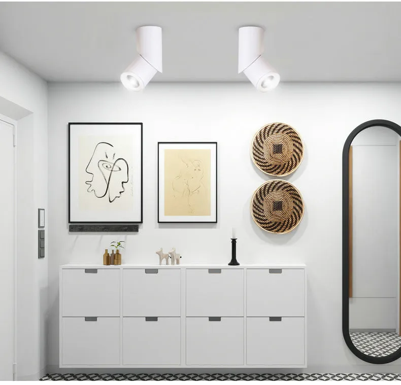 Adjustable Surface Mounted led downlighting