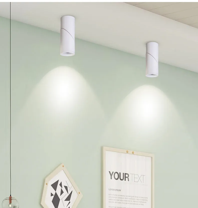 Adjustable Surface Mounted led downlighting