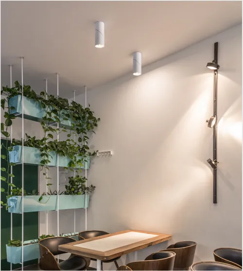 Adjustable Surface Mounted led downlighting