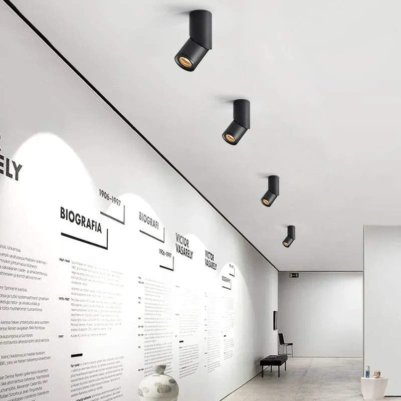 Adjustable Surface Mounted led downlighting