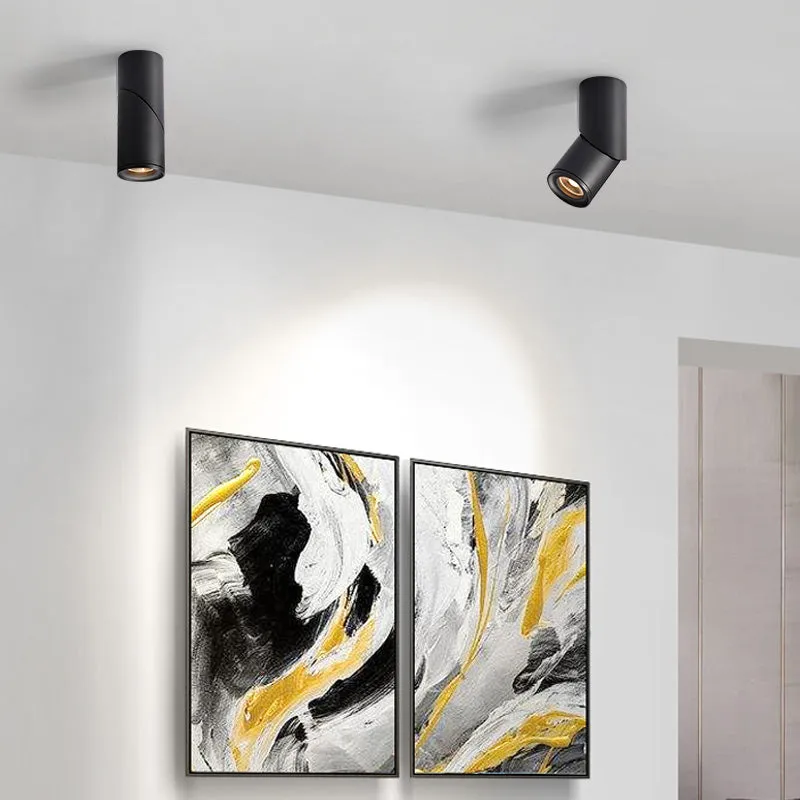 Adjustable Surface Mounted led downlighting