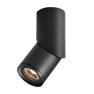 Adjustable Surface Mounted led downlighting