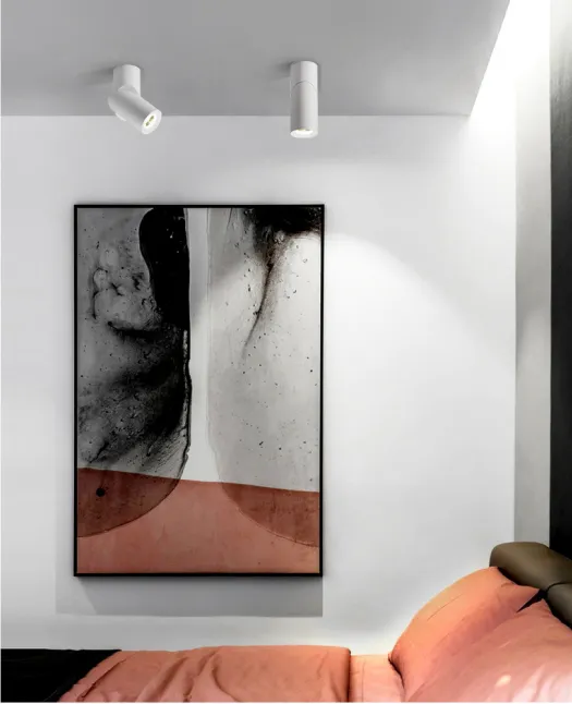 Adjustable Surface Mounted led downlighting