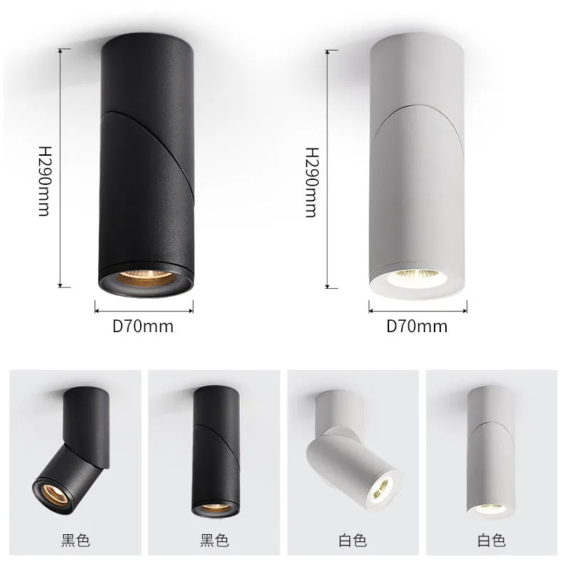 Adjustable Surface Mounted led downlighting
