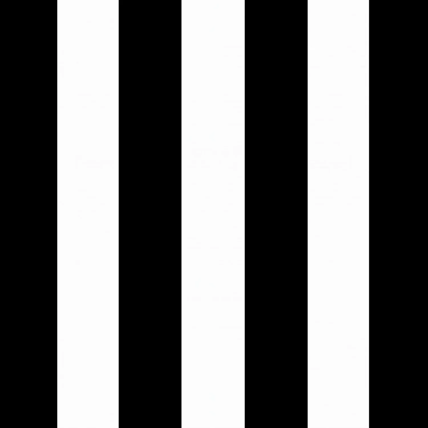 Arden Outdoor Dining Chair Cushion, 21 x 21, Rain-Proof, Fade Resistant 21 x 21, Black Cabana Stripe