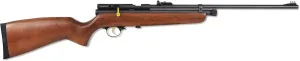 BeemanAir Rifle