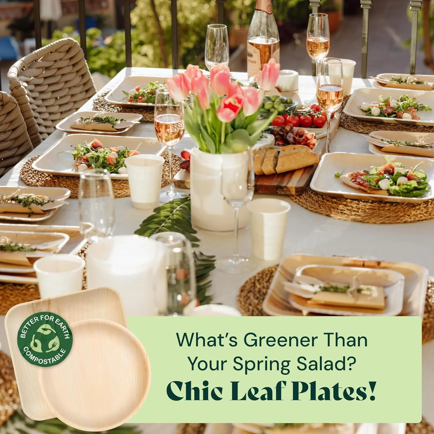 Chic Leaf Compostable & Biodegradable Palm Leaf Disposable Bamboo Plates - Disposable Party Plates for Appetizers (6'' - 50 Pack)