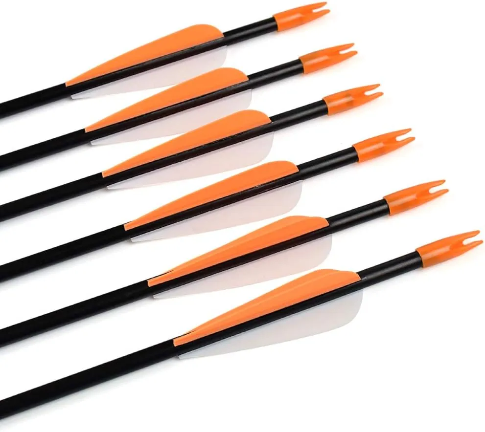 Elong Fiberglass Arrows Archery 24 26 28 30Inch Target Shooting Practice Safetyglass Recurve Bows Suitable for Youth Children Woman Beginner