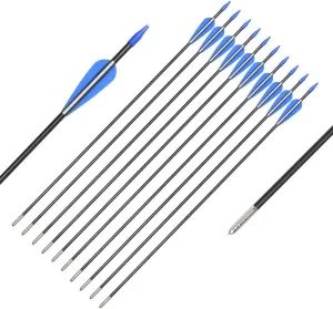 Fiberglass Arrows Archery 24 26 28 30 Inch Target Shooting Practice Safetyglass with Blue and White Vane for Recurve Bows Suitable for Youth Children Woman Beginner 6/12 PCS
