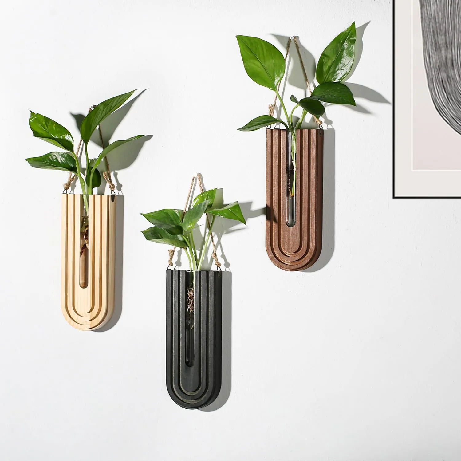Indoor Wood Wall Planter Set of 3 for Plants - Boho Handmade Hanging Propagation Station with Curved Rainbow Design, Wall Mounted Vase for Flowers, Natural Home Decor Living Room Entryway