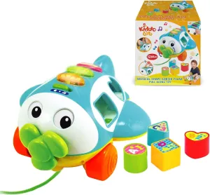 Musical Shape Sorter Plane, Pull-Along Toy - Talking and Singing Airplane Toy with Music for Toddlers and Kids, Ages 12 Months 