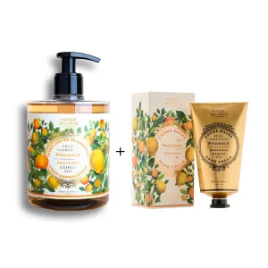 Panier des Sens - Provence Liquid Hand soap and Lotion Set - Moisturizing Hand Wash   Hand Cream - with Coconut Oil, Shea Butter - Hand Care Made in France - 97% Natural Ingredients