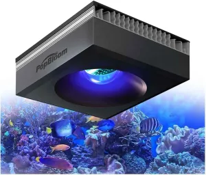 PopBloom RL90 WiFi LED Aquarium Light 100w, Full Spectrum Marine Aquarium Light for SPS/LPS Coral Reef Growing Saltwater Fish Tanks (1 Light with Hang Kit)