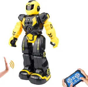 Remote Control RC Robot Toy for Kids,Intellectual Gesture Sensor Programmable Robots with Infrared Controller, Rechargeable,Early Education Toys,Speak,Dance,Sing,Walk,Slide Robot Kits