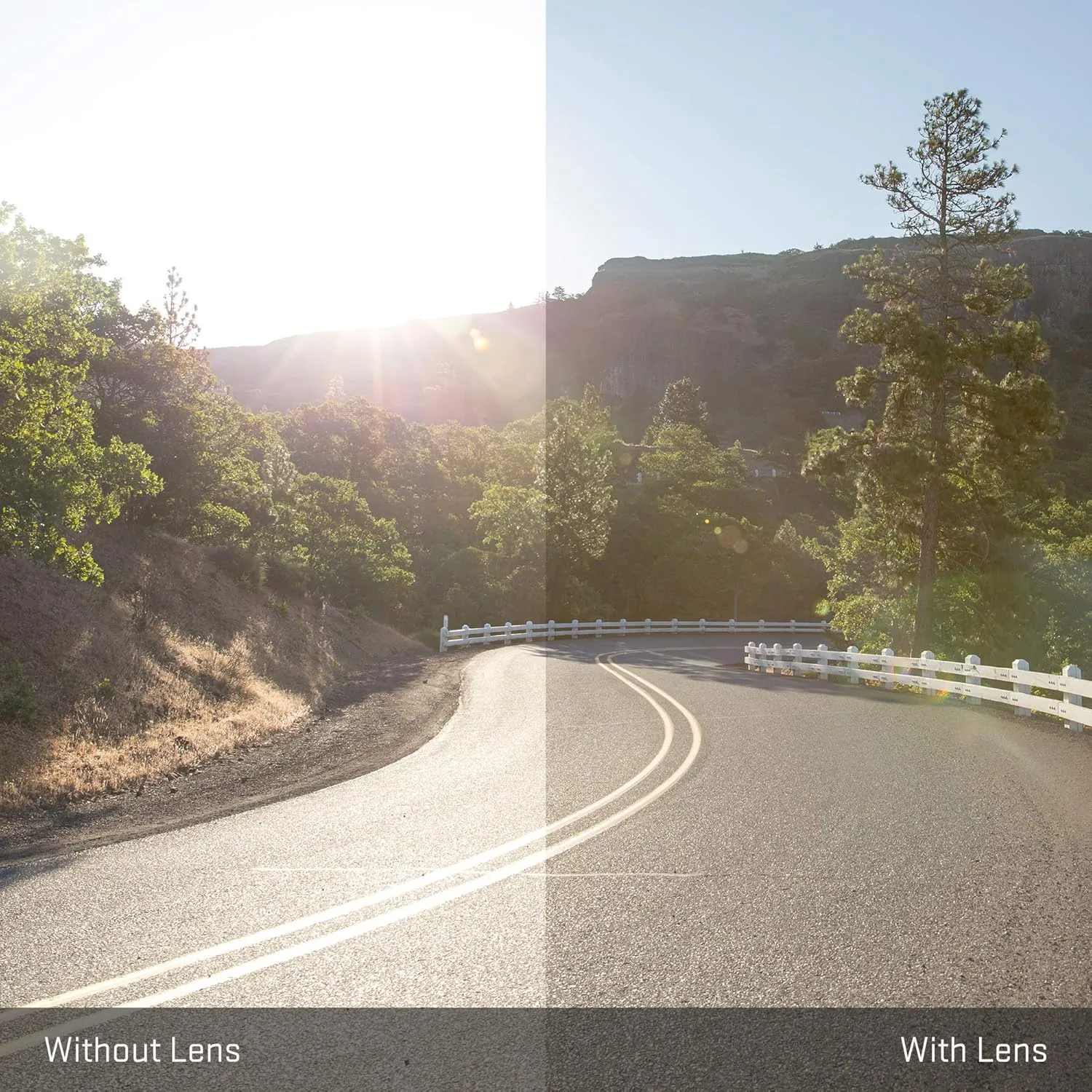 Revant Replacement Lenses for Wiley X Alfa Sunglasses, Polarized Options, UV Protection, Anti-Scratch, and Impact Resistant