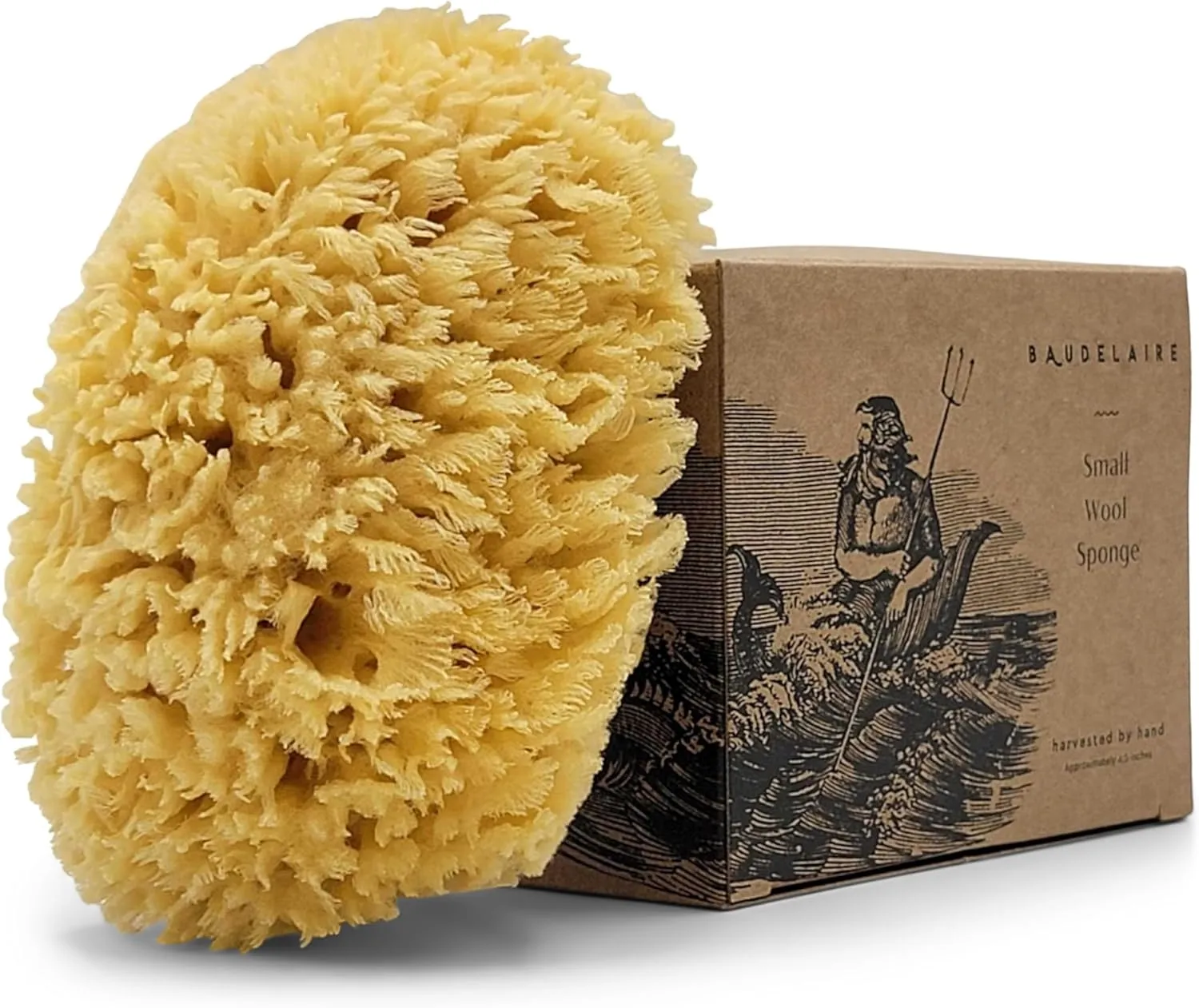 Sea Wool Sponge 5.5" - Natural Sea Sponge for Bathing and Shower - Durable, Sustainable & Environment-Friendly Loofah for Body