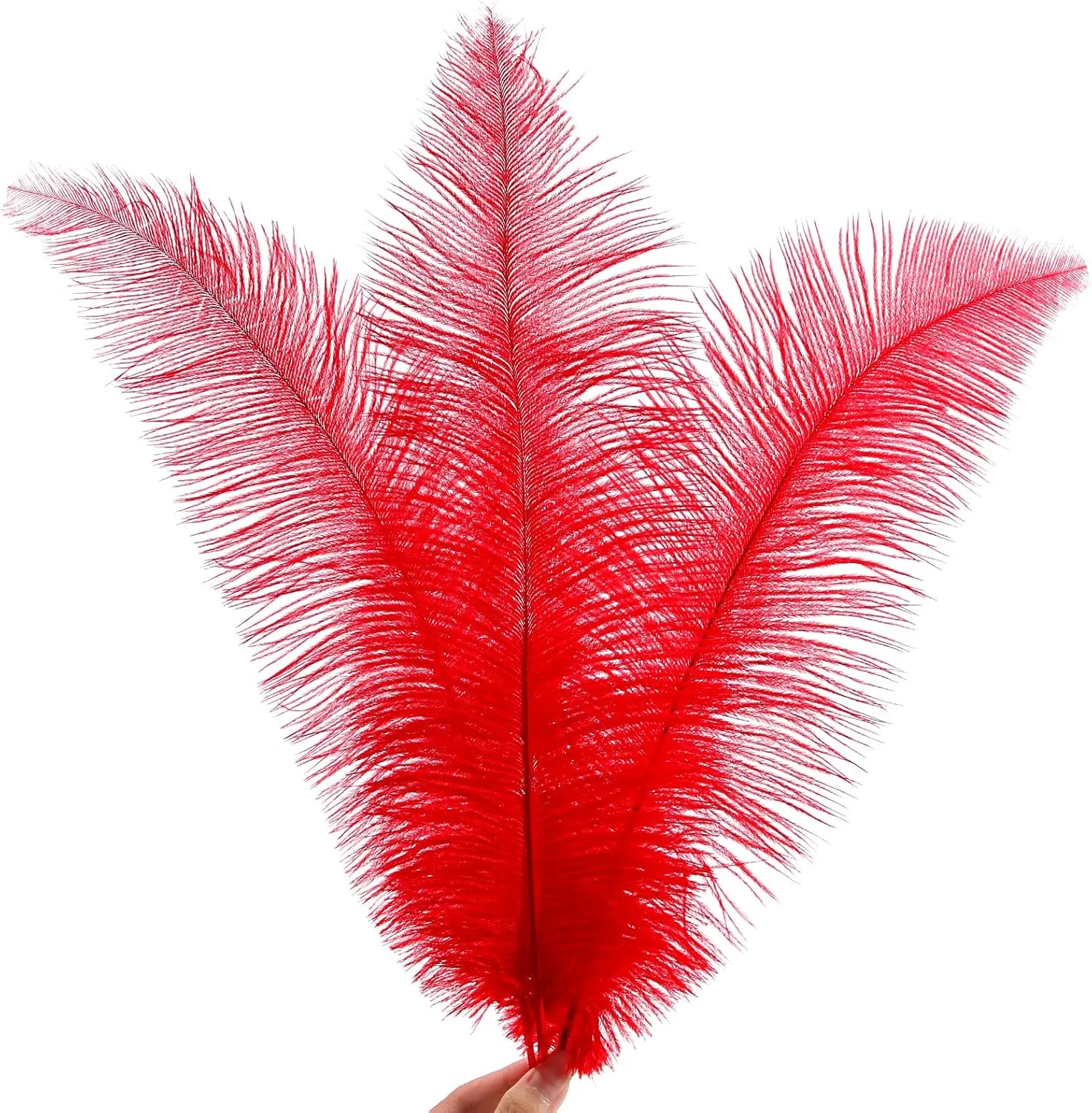SendyFeather 50pcs Natural Red Ostrich Spads Feather 14-16inch (35-40cm) Bulk Feathers for Crafts Flowers Vase Wedding Party Centerpiece Decoration