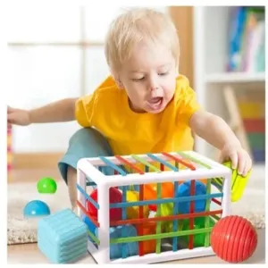 Sensory Toys Shape Sorter with 12 Pieces (1-3 Years)