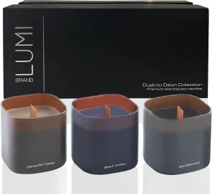Set of 3 Scented Soy Candles Gift Set | Dusk to Dawn Collection | 3 Scented Candles - Canadian Cedar, Black Amber, and Sandalwood | Crackling Wood Wick | Clean Burn | 50 HR Burn Time, 9.8oz Each