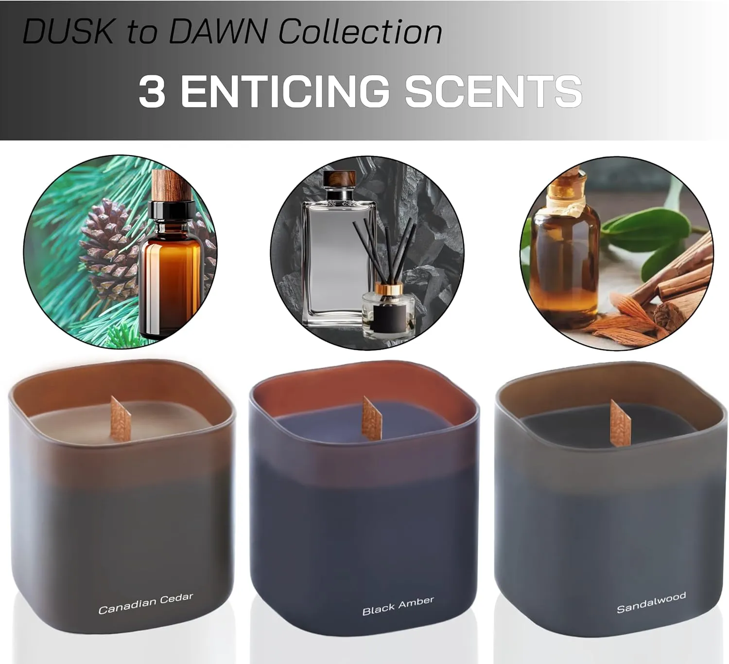 Set of 3 Scented Soy Candles Gift Set | Dusk to Dawn Collection | 3 Scented Candles - Canadian Cedar, Black Amber, and Sandalwood | Crackling Wood Wick | Clean Burn | 50 HR Burn Time, 9.8oz Each