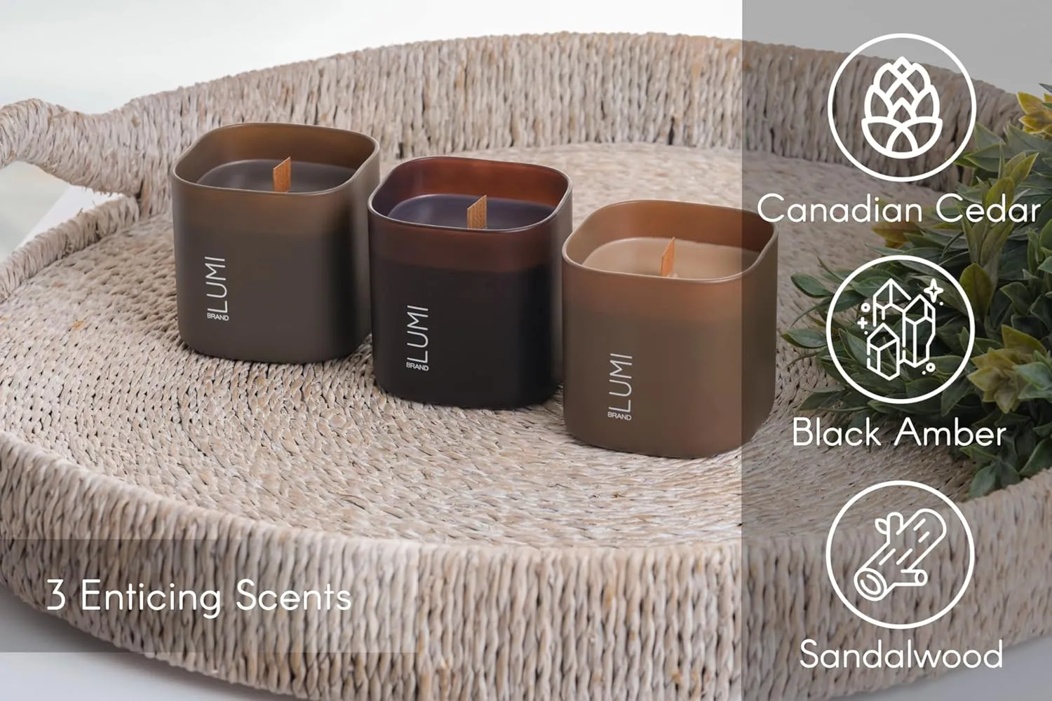 Set of 3 Scented Soy Candles Gift Set | Dusk to Dawn Collection | 3 Scented Candles - Canadian Cedar, Black Amber, and Sandalwood | Crackling Wood Wick | Clean Burn | 50 HR Burn Time, 9.8oz Each
