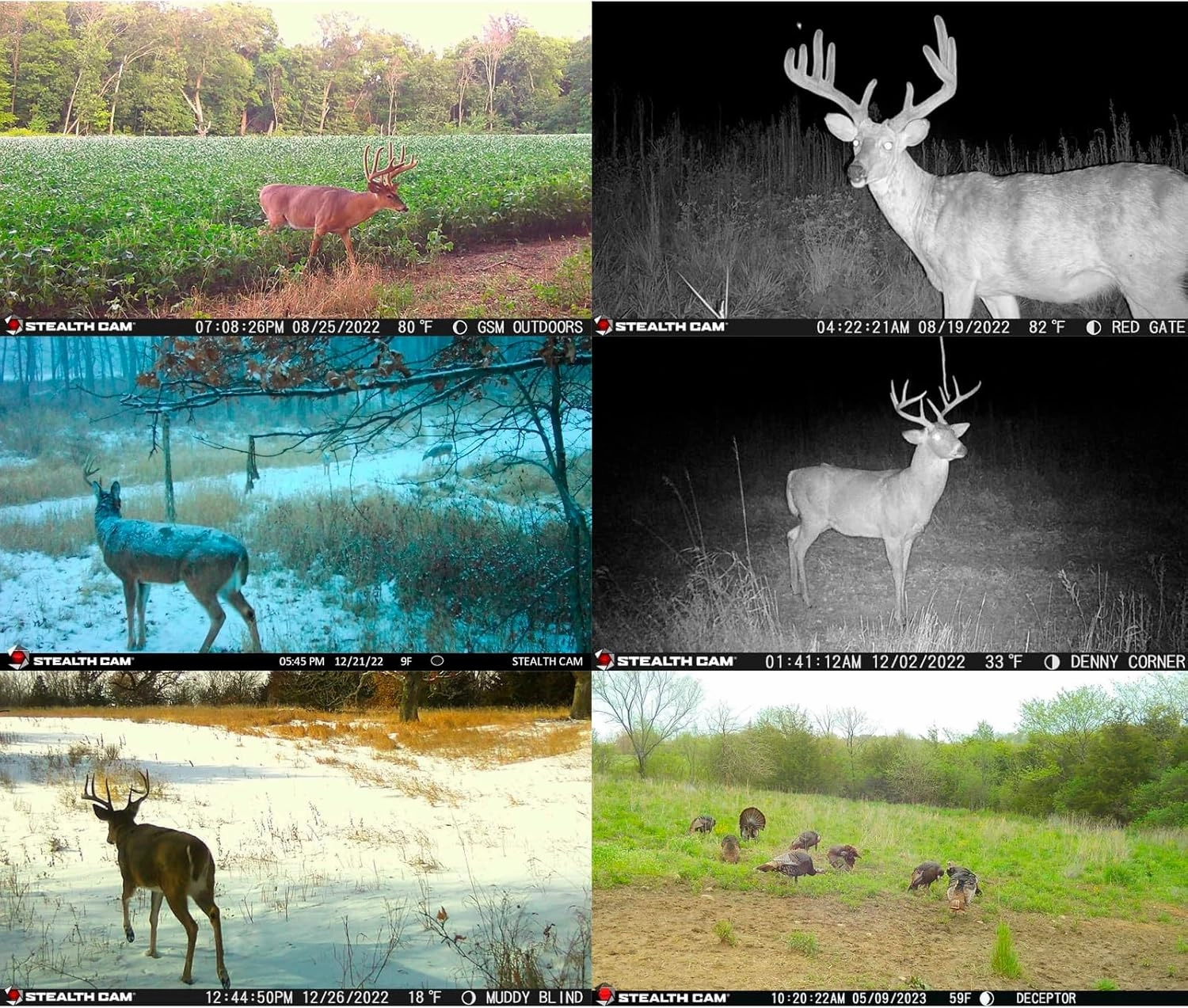 Stealth Cam Deceptor No Glo 80ft Detection & IR Range 40MP Photo 1440P HD Video Capture Remote App Contol Wireless Hunting Cellular Trail Camera - Available on AT&T & Verizon
