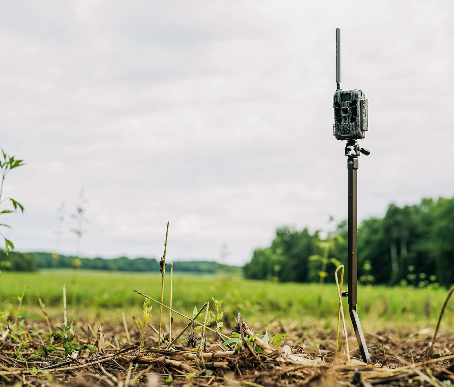 Stealth Cam Deceptor No Glo 80ft Detection & IR Range 40MP Photo 1440P HD Video Capture Remote App Contol Wireless Hunting Cellular Trail Camera - Available on AT&T & Verizon