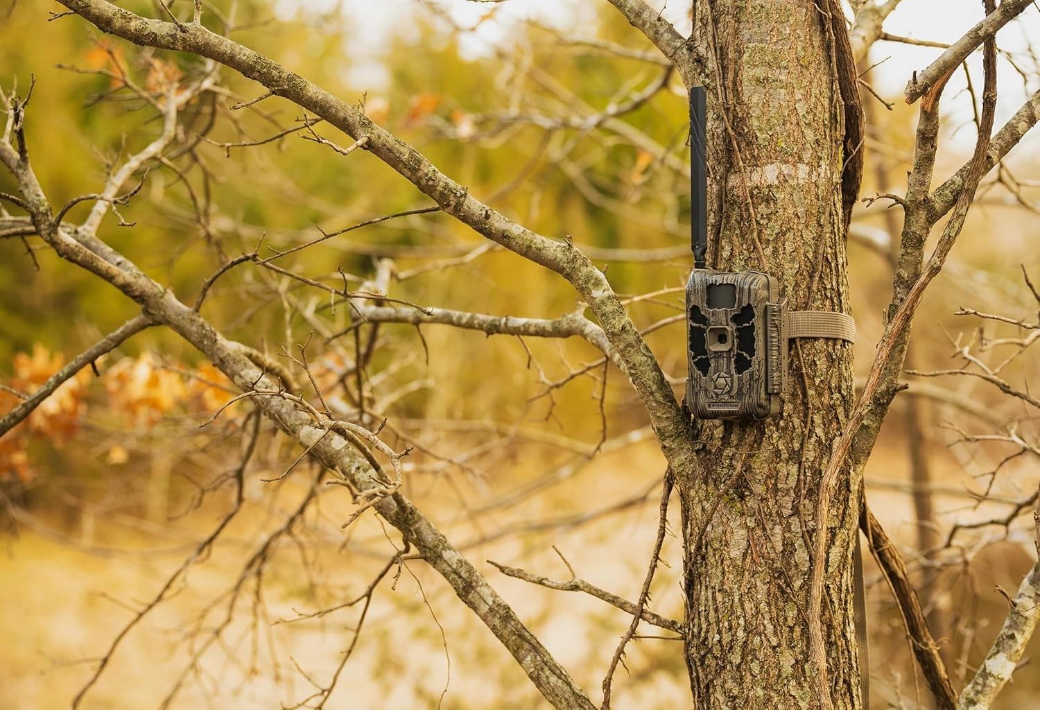 Stealth Cam Deceptor No Glo 80ft Detection & IR Range 40MP Photo 1440P HD Video Capture Remote App Contol Wireless Hunting Cellular Trail Camera - Available on AT&T & Verizon